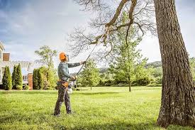 Best Lawn Mowing  in Dunkirk, IN